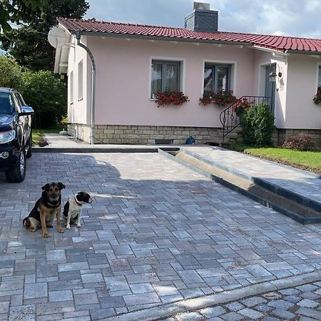 Haus Marianne Apartment Ettersburg Bagian luar foto